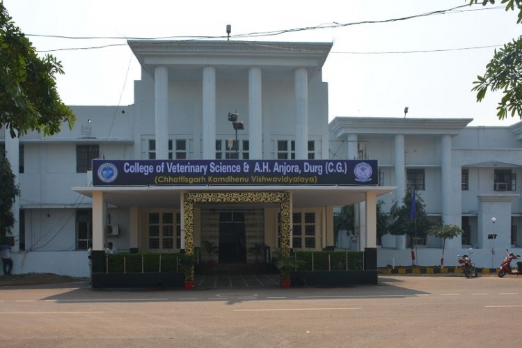 College Campus
